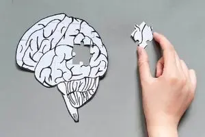 از قاعدگی تا یائسگی؛ نقش استروژن در سلامت مغز زنان