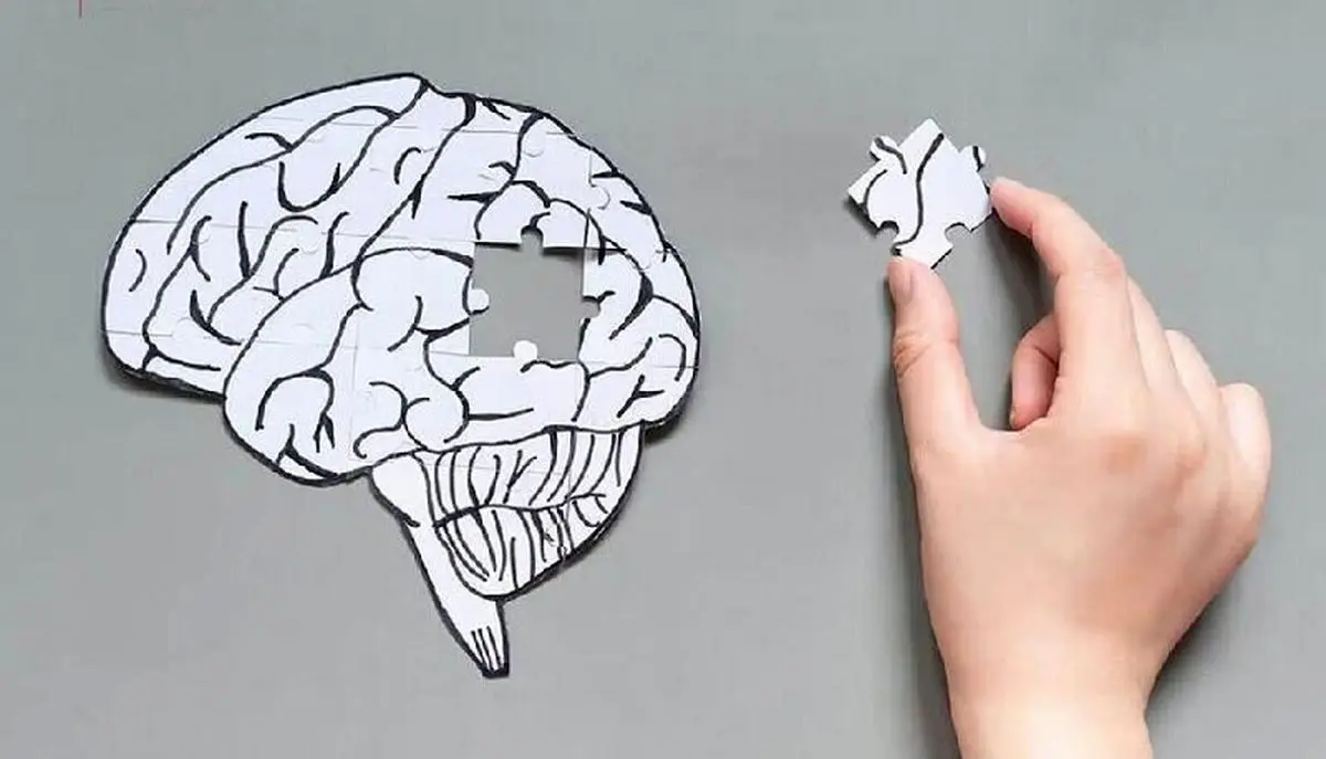 از قاعدگی تا یائسگی؛ نقش استروژن در سلامت مغز زنان
