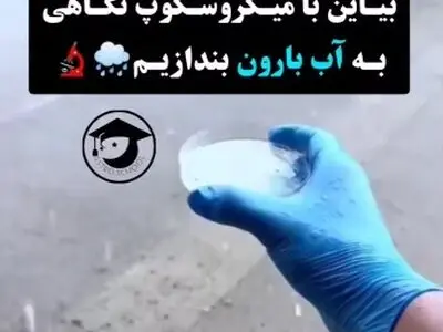 در آب باران چه خبر است؟ + فیلم