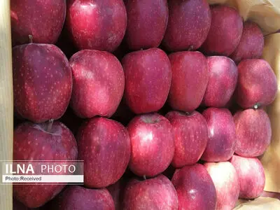 اگر هر روز این میوه را بخورید دیگر از دکتر رفتن بی نیاز می شوید