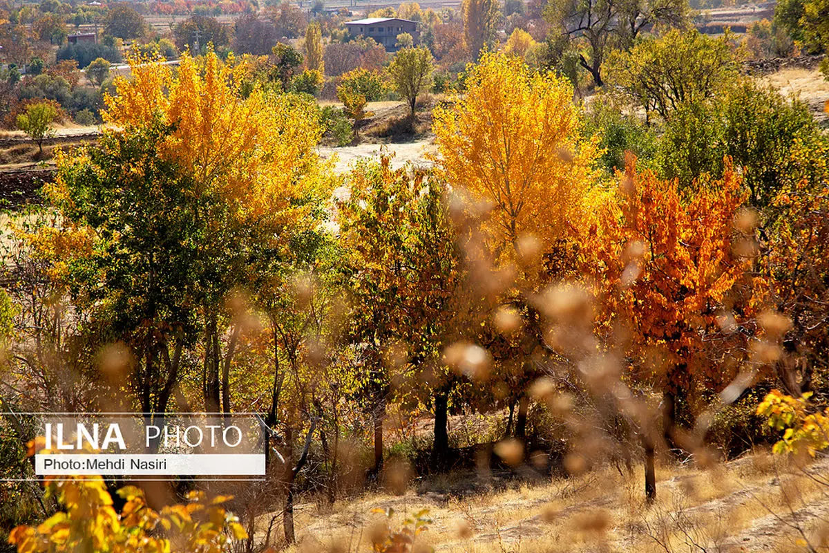 ۶۸ پروژه روستایی در استان گیلان بهره‌برداری می‌شود