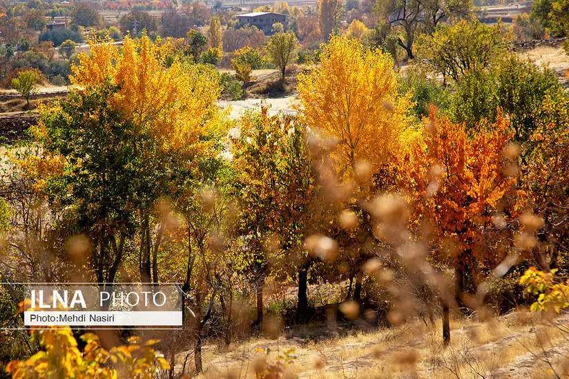  طبیعت پاییزی روستای سرسختی علیا