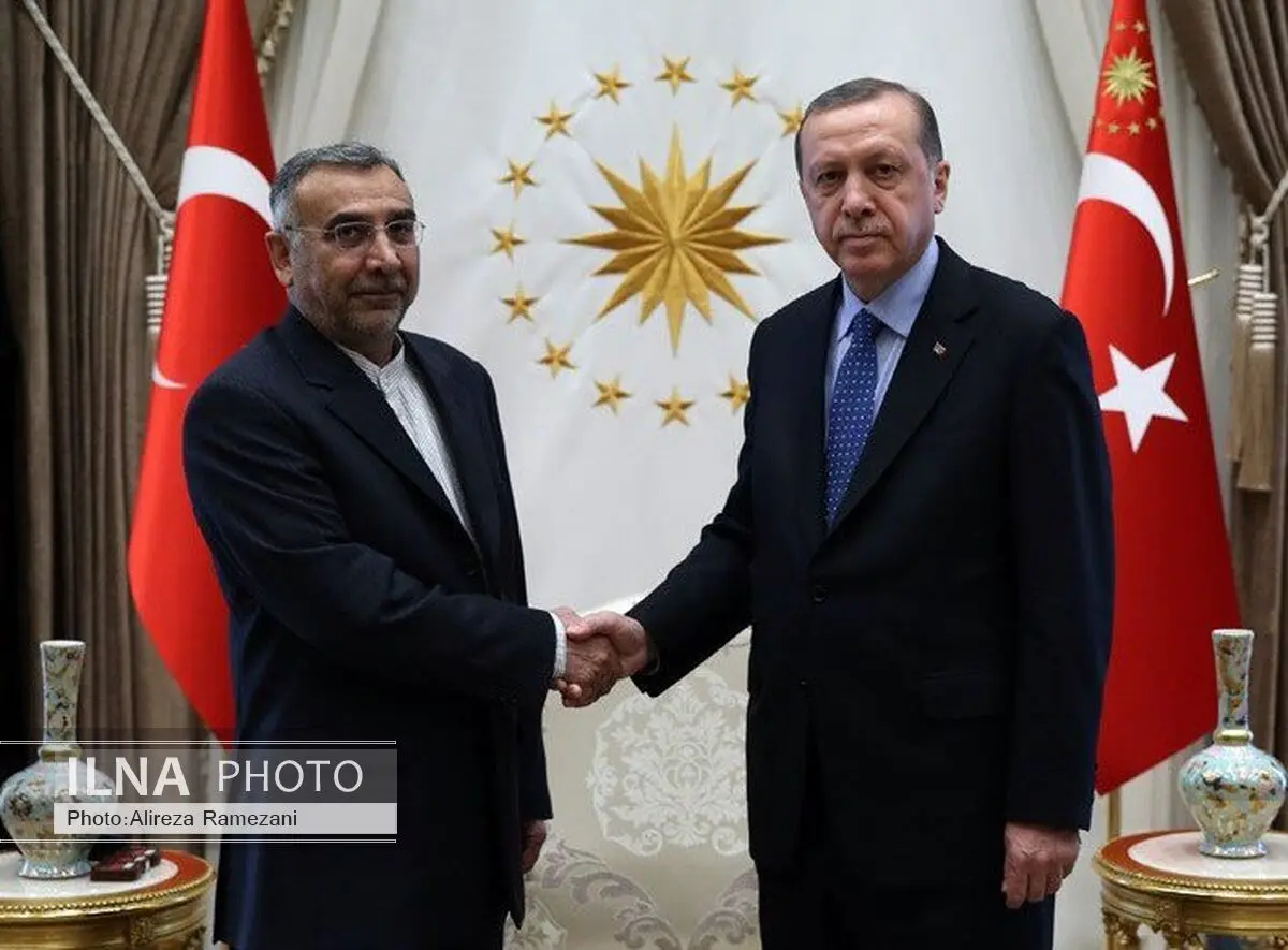 سفیر کشورمان استوارنامه خود را تقدیم اردوغان کرد 