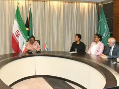 دیدار خداحافظی سفیر ایران با وزیر امور خارجه آفریقای جنوبی