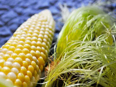 با این روش سنگ کلیه را صبح پودر و شب دفع کن + فیلم