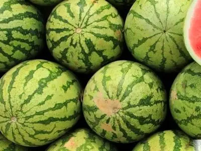 زمان‌بندی خوردن هندوانه/ چگونه بیشترین فایده را بگیریم؟