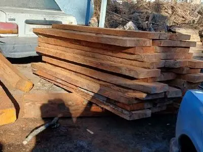 چند کارگاه چوب با دستور دادستان آمل پلمب شد