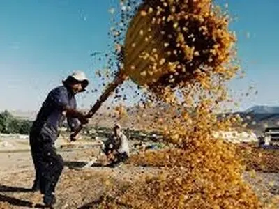 شهر بدون کوچه ایران را بشناسید؛ در خاورمیانه نظیر ندارد