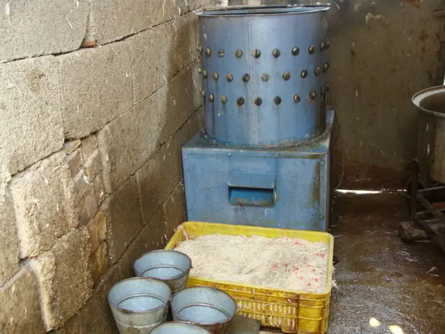 عرضه‌ی غیربهداشتی مرغ در شوشتر