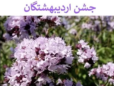 ۲ اردیبهشت در تقویم باستانی ایران روز اردیبهشتگان است 