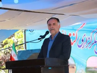 پرداخت ۵۰ درصد بهای گندم خریداری شده به کشاورزان کردستان
