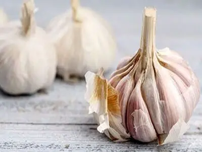 ناشتا این گیاه را بخورید بدنتان سم زدایی می شود 