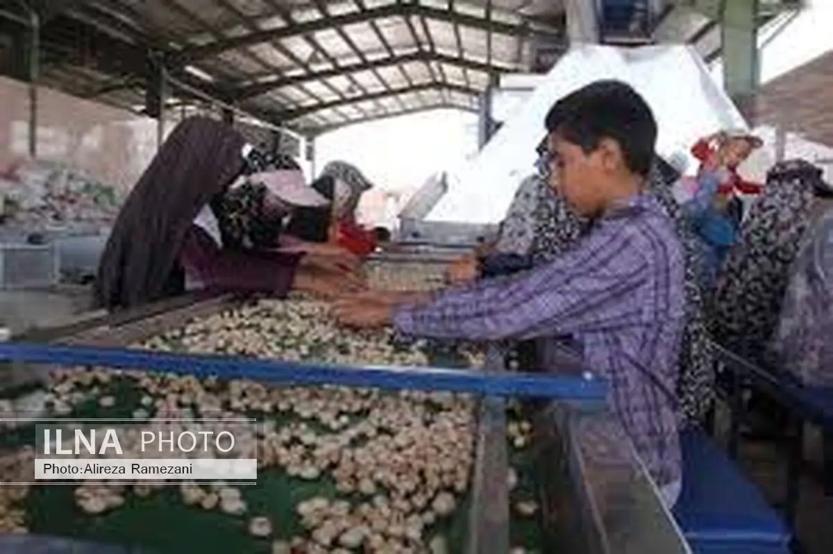 لزوم مشارکت بانک‌ها در ایجاد اشتغال‌های روستایی