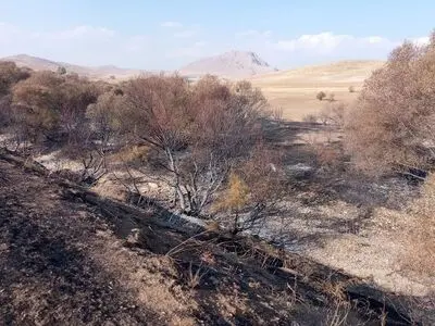 ۳۰۰اصله درخت در پنج هکتار از مراتع بوکان در آتش سوخت