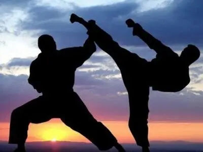کرمانشاه میزبان مسابقات جهانی کونگ فو می‌شود