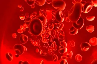 بررسی علت کم‌خونی فقر آهن در مردان و زنان یائسه ضروری است