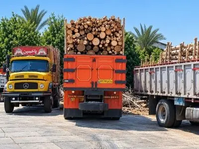 توقیف ۶ محموله چوب قاچاق در شوش/محکومیت متخلفان به پرداخت جزای نقدی