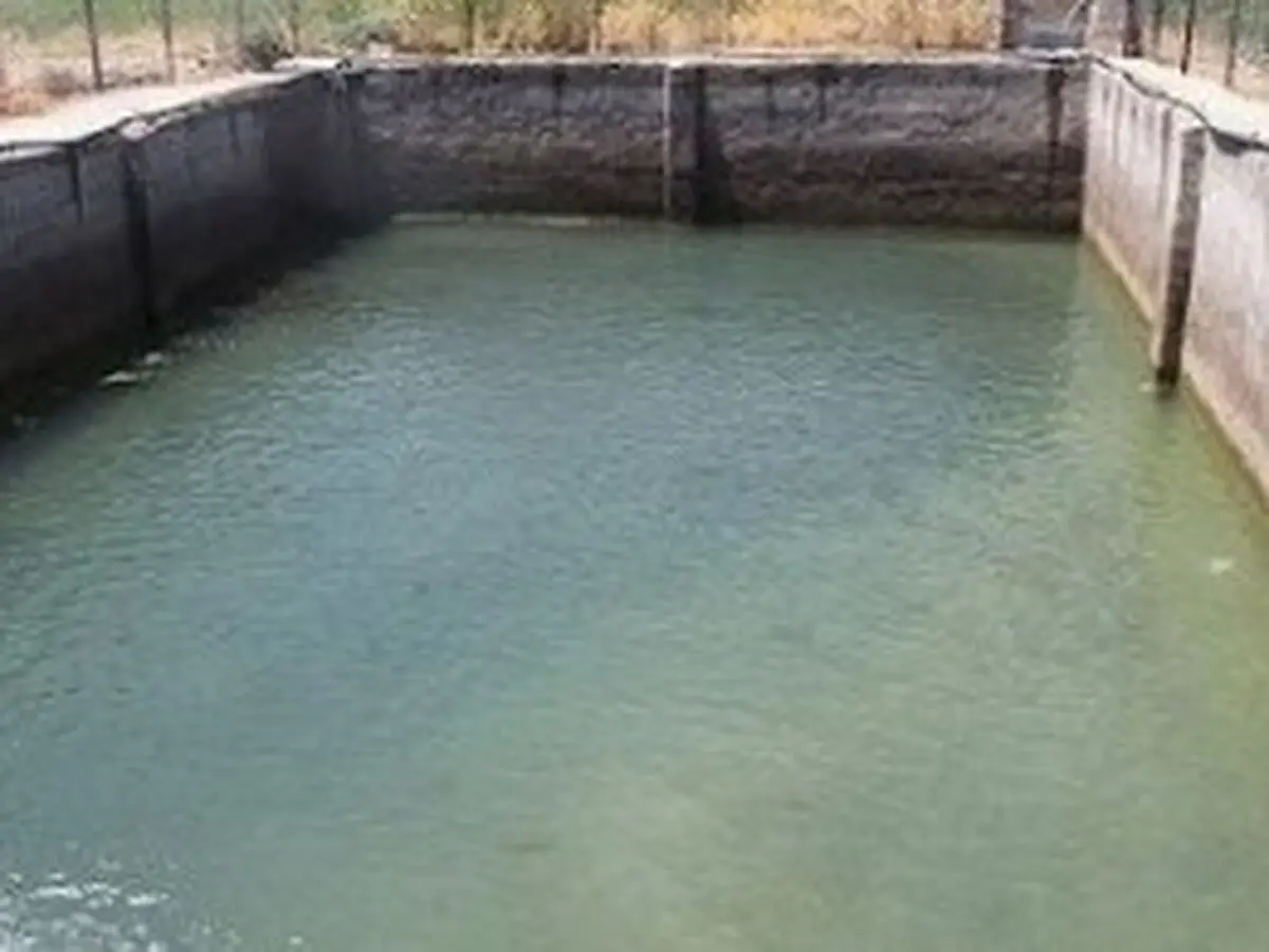 خطر غرق شدن و خفگی کودکان در استخرهای خانگی و بادی