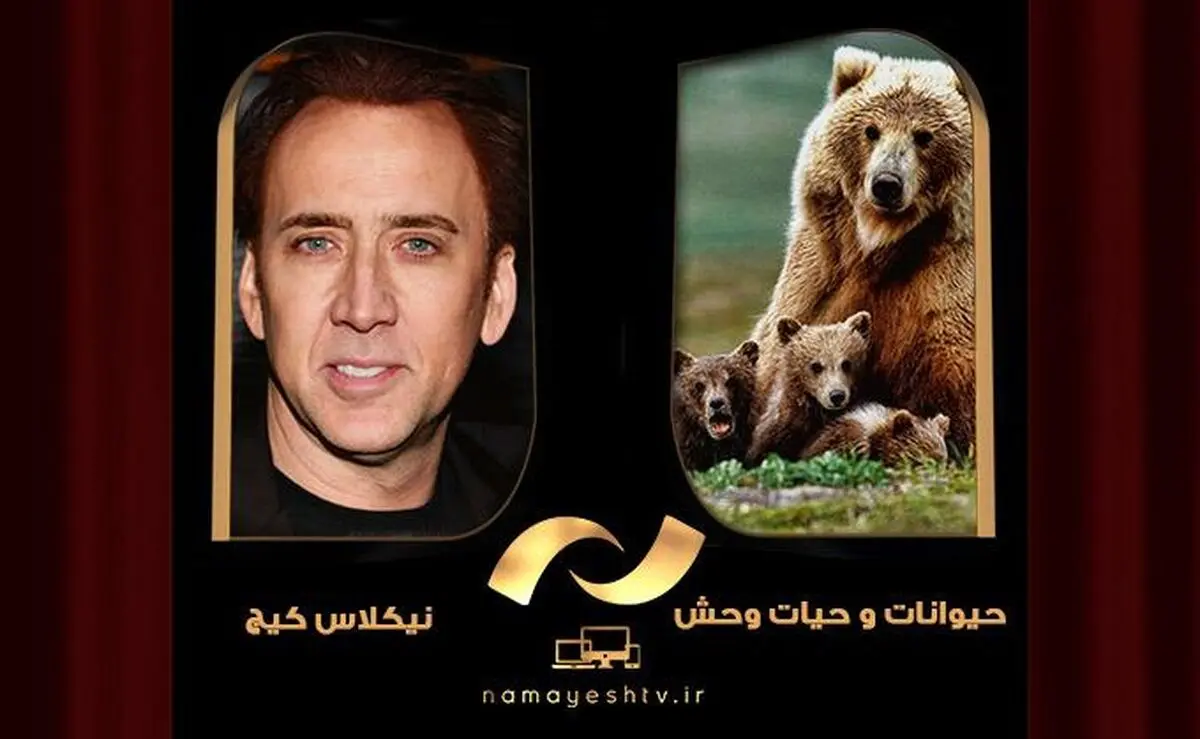 مرور آثار نیکلاس کیج در شبکه نمایش