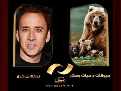 مرور آثار نیکلاس کیج در شبکه نمایش