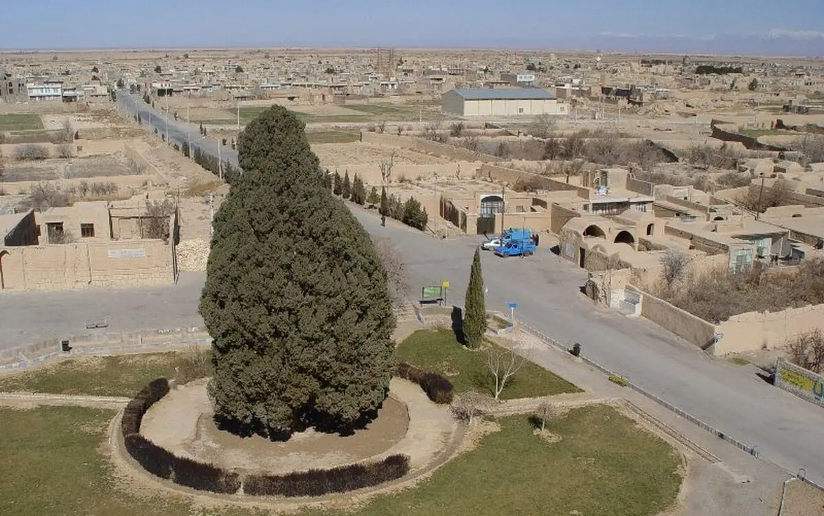 احتمال ثبت جهانی بادگیرها با کشور ثالث/ ثبت جهانی درختان دیرزیست با محوریت سرو ابرکوه/ ضریب اشغال هتل‌های یزد در محرم کمتر از ۱۰ درصد بود