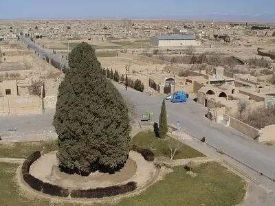 طوفان به سرو ۴۵۰۰ ساله ابرکوه آسیب زد