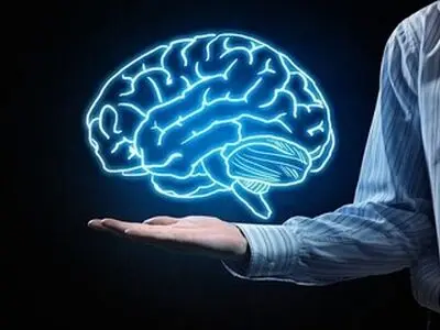 مغز از چه سنی پیر می‌شود؟