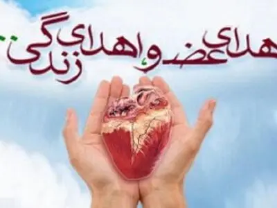 اعضای شهروند لامردی به ۲ زن و یک مرد جان تازه بخشید