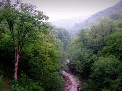 بیش از ۵۰۰۰ هکتار جنگل هیرکانی به منابع طبیعی بازگشت