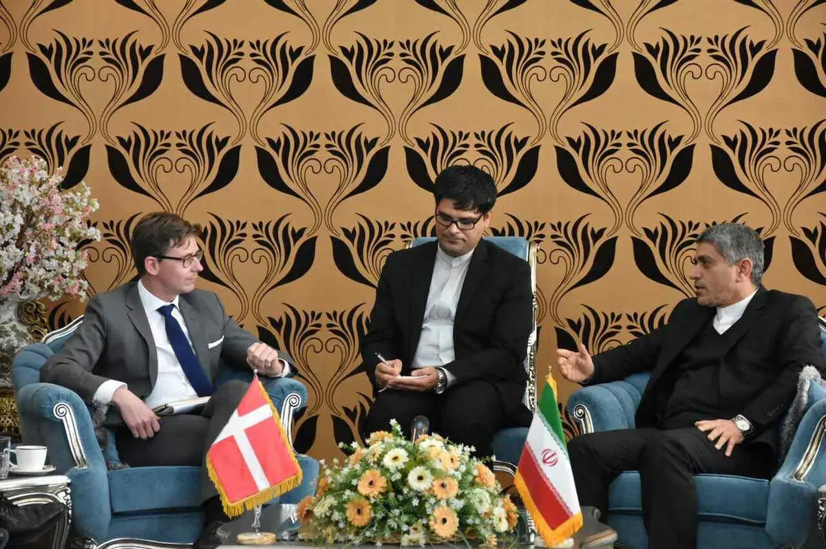دیدار وزیر امور مالیاتی دانمارک با طیب‌نیا برگزار شد