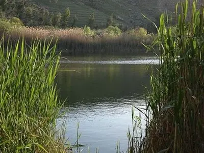 تالاب‌ها جایگزین ندارند/ تهران باید مشارکت فعالی در حفاظت تالاب‌های کویری اطراف خود داشته باشد