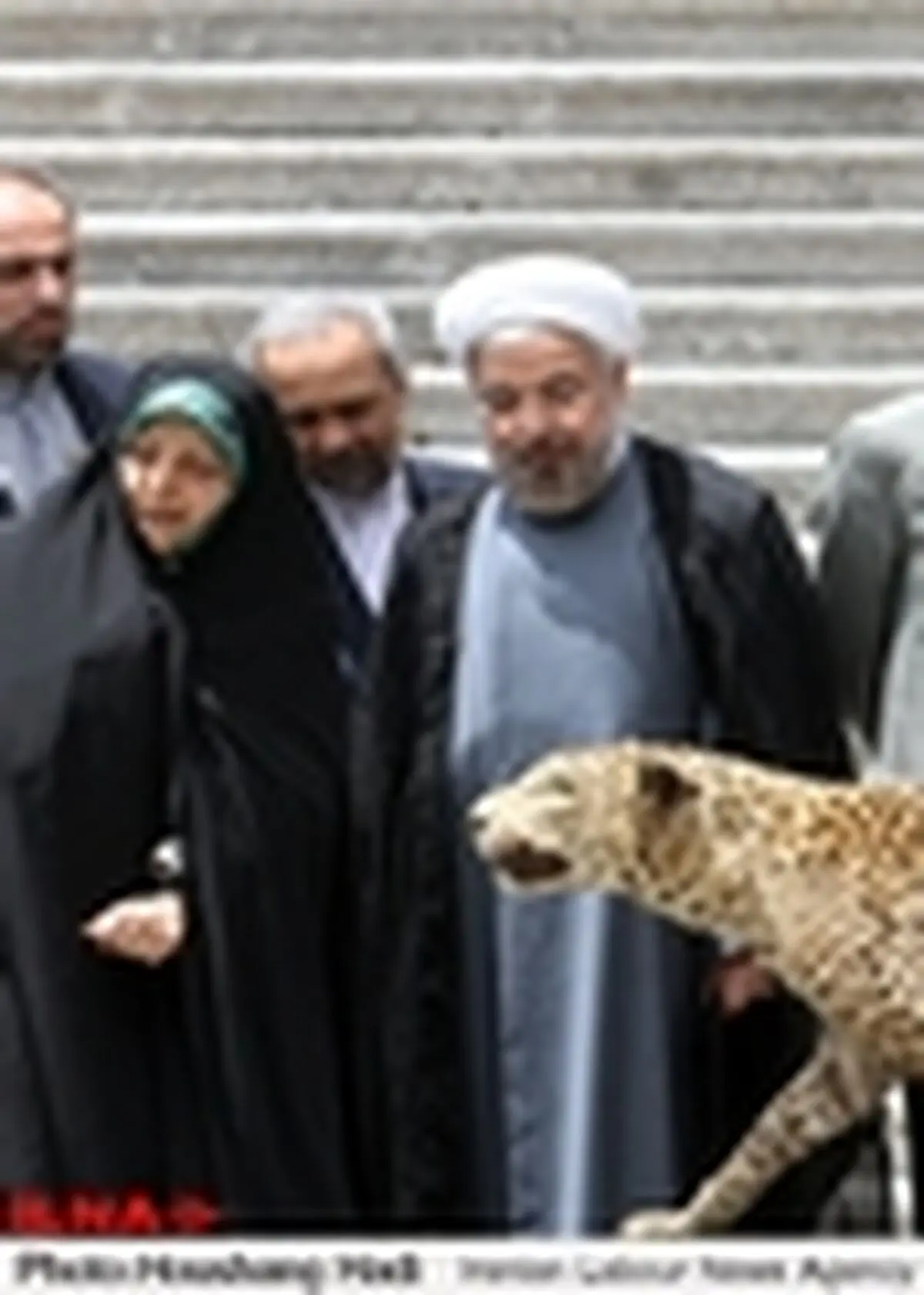 برپایی نمایشگاه محیط زیست در حیاط هیات دولت