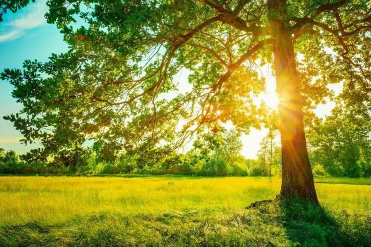 کاهش ابر و پایداری هوای گیلان از فردا