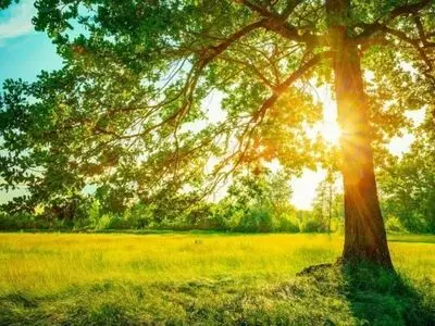 کاهش ابر و پایداری هوای گیلان از فردا