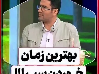 سیر هم باعث کاهش اشتها می‌شود، هم باعث افزایش اشتها! + فیلم