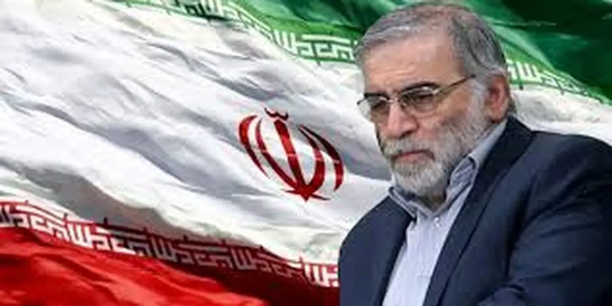پیام تسلیت رییس سازمان زندان‌ها در پی شهادت شهید فخری زاده 