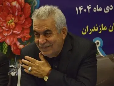 ناکارآمدی اجرای قانون، بازنشستگان را به بیمه تکمیلی سوق داده است 