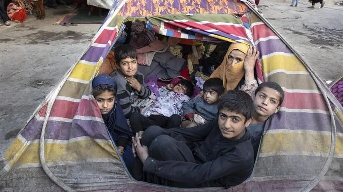  ۶ میلیون افغان در آستانه فاجعه قحطی قرار دارند