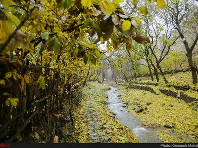 پاییز در روستای سنج