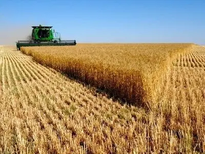 پیش‌بینی برداشت ۸ میلیون تن گندم در کشور