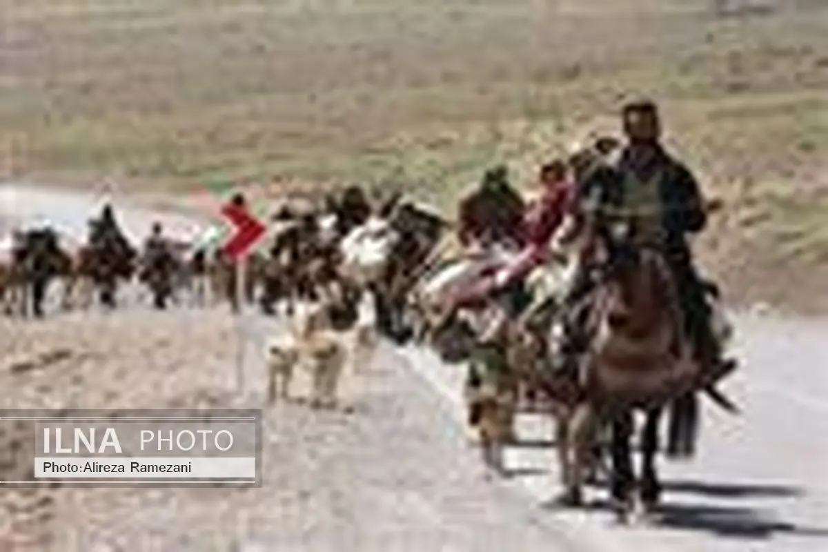 دامداران و عشایر استان قبل از کوچ دام های خود را علیه بیماری های شاربن، آبله، تب مالت و هاری واکسینه نمایند