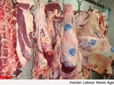 واردات گوشت آلوده از اوکراین صحت ندارد