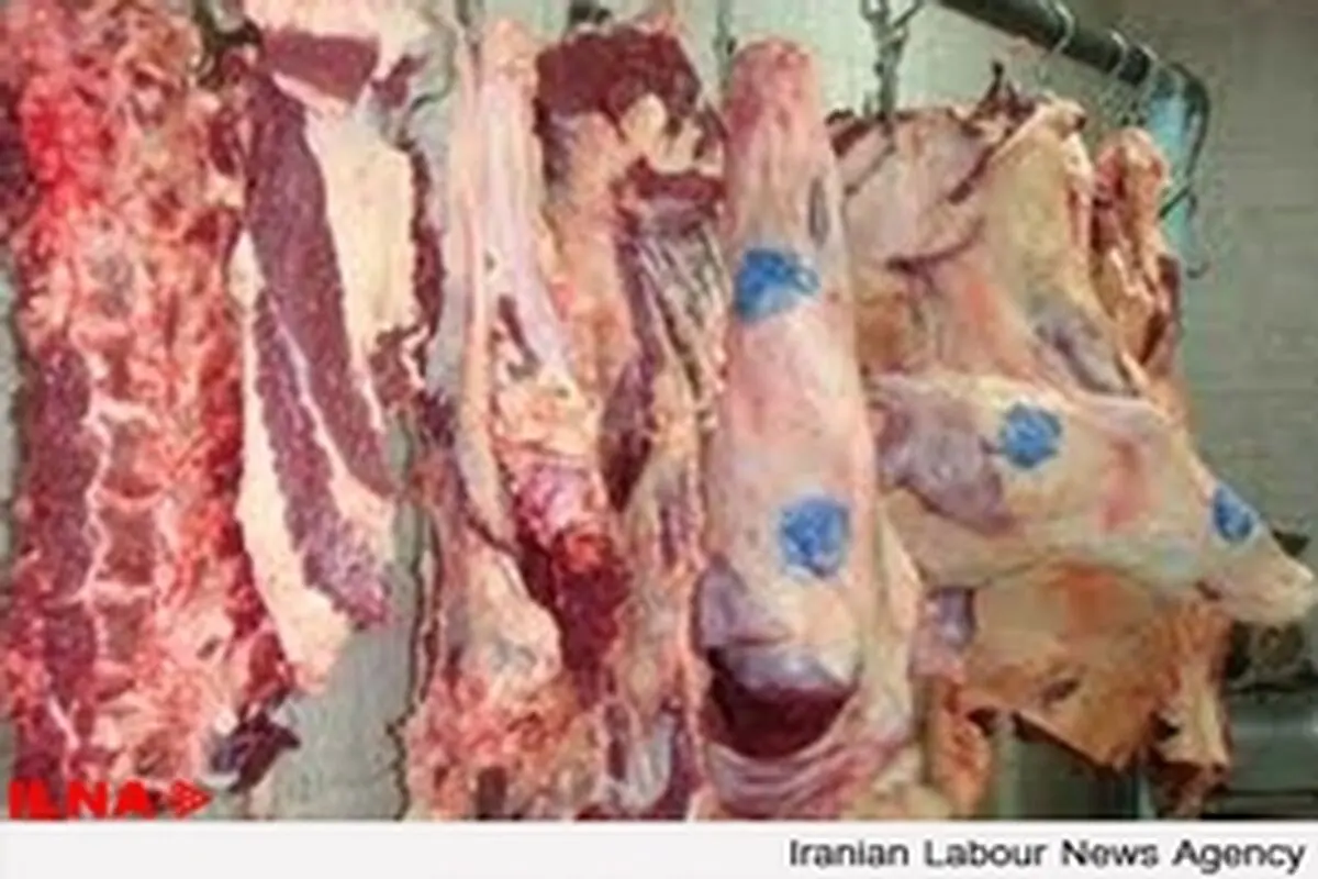 واردات گوشت آلوده از اوکراین صحت ندارد