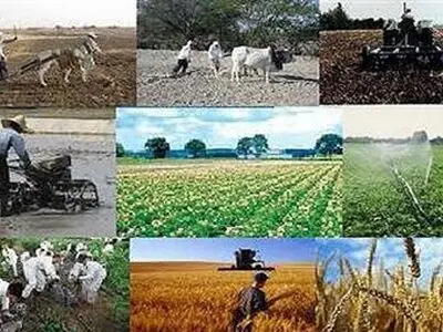 افزایش سرمایه گذاری های خارجی بخش کشاورزی در پسابرجام