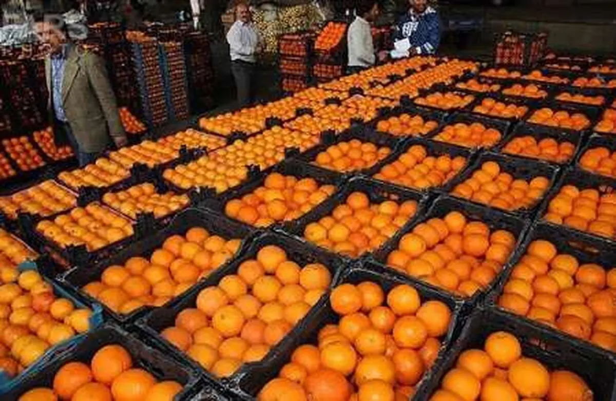 50 هزارتن سیب و پرتقال برای تنظیم بازار میوه نوروز 96 توزیع شد