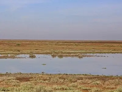احیای گاوخونی به جریان مناسب و مستمر آب نیاز دارد/ نیاز آبی تالاب ۱۷۶ میلیون مترمکعب در سال است 