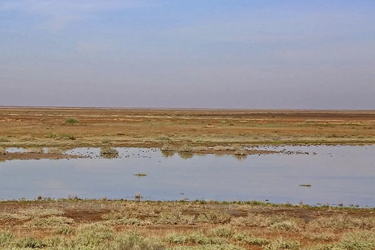 احیای گاوخونی به جریان مناسب و مستمر آب نیاز دارد/ نیاز آبی تالاب ۱۷۶ میلیون مترمکعب در سال است 