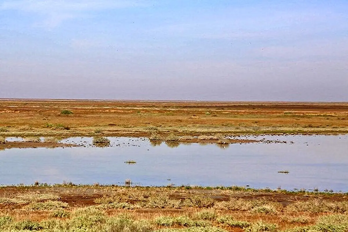 احیای گاوخونی به جریان مناسب و مستمر آب نیاز دارد/ نیاز آبی تالاب ۱۷۶ میلیون مترمکعب در سال است 