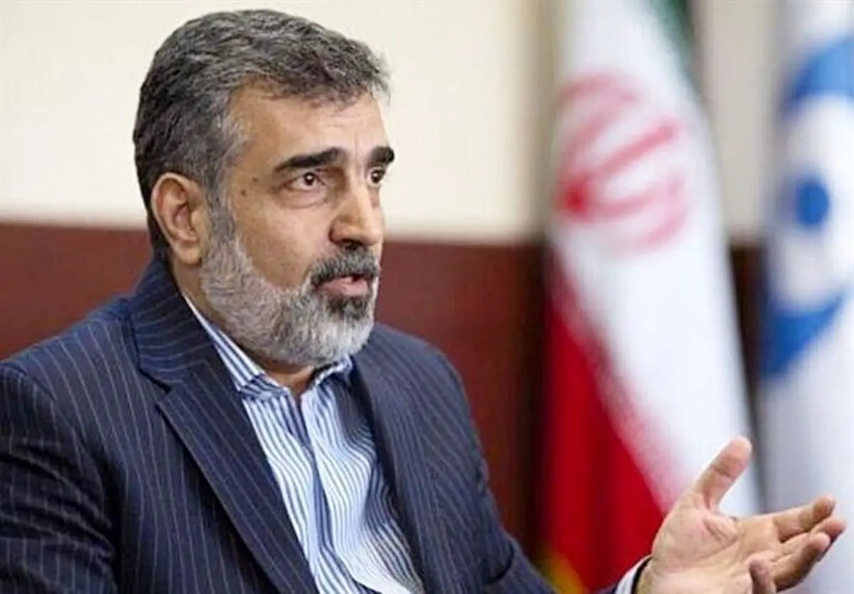 اقدامات جبرانی ایران بلافاصله بعد از صدور قطعنامه آغاز شد/ ظرفیت غنی سازی را به شکل قابل ملاحظه ای افزایش می دهیم