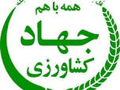 هفت ماه معطلی برای ارزی که باید چند هفته‌ای پرداخت شود!